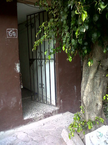 Sin Nombre
